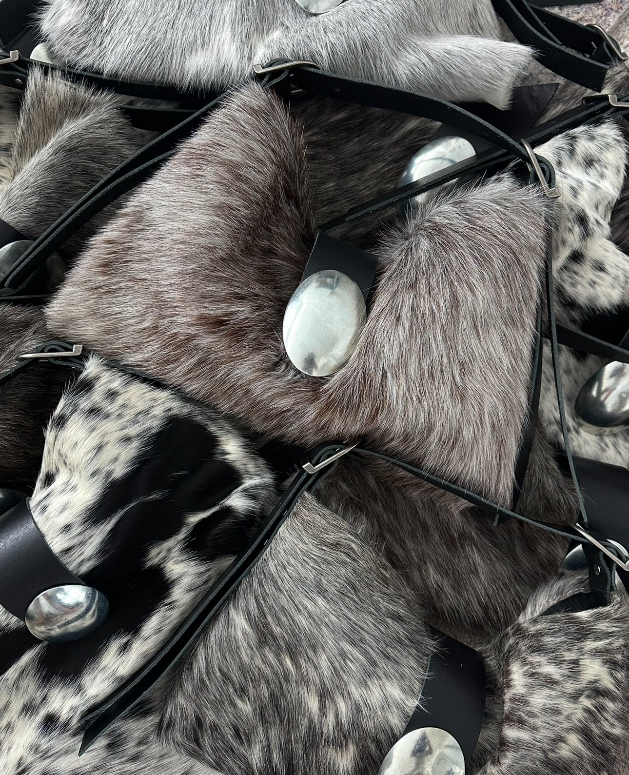 'nova' preorders [all sizes]